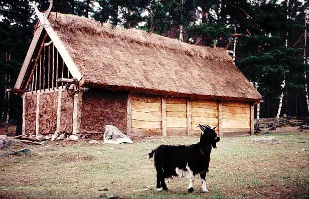 Skiftesverksteknik och korsvirke användes när man rekonstruerade en vikingatida gård i Upplands Väsb