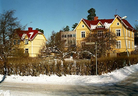 Blombackagult fick namn efter ett område i Södertälje där husen var målade i denna ljust ockragula l