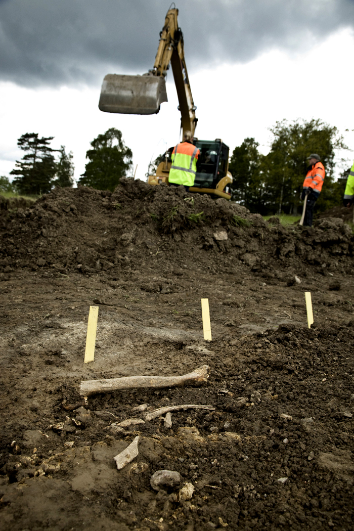 Redan första dagen stötte arkeologerna på en skelettgrav.