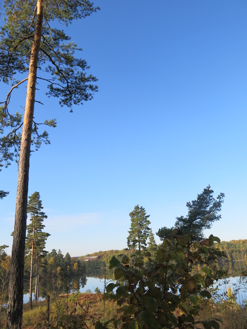  Gravfältet i Vidbynäs, med utsikt över sjön Turingen.